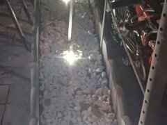 Lampi solare gradina